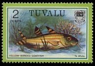 Tuvalu 1979 - serie Pesci: 2 c