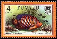 Tuvalu 1979 - serie Pesci: 4 c