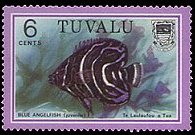 Tuvalu 1979 - serie Pesci: 6 c