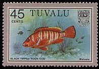 Tuvalu 1979 - serie Pesci: 45 c