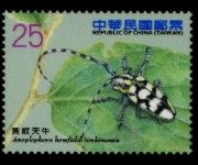 Taiwan 2010 - serie Coleotteri longicorni: 25,00 $