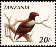 Tanzania 1990 - serie Uccelli: 20 sh