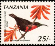 Tanzania 1990 - serie Uccelli: 25 sh