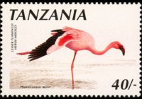 Tanzania 1990 - serie Uccelli: 40 sh