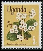 Uganda 1969 - serie Fiori: 5 c
