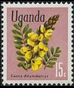 Uganda 1969 - serie Fiori: 15 c