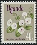 Uganda 1969 - serie Fiori: 40 c
