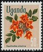 Uganda 1969 - serie Fiori: 50 c