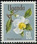 Uganda 1969 - serie Fiori: 60 c