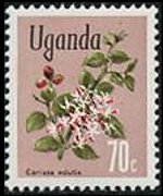 Uganda 1969 - serie Fiori: 70 c