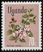 Uganda 1969 - serie Fiori: 70 c