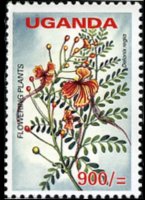 Uganda 2005 - serie Fiori: 900 sh