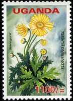 Uganda 2005 - serie Fiori: 1100 sh