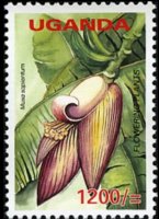 Uganda 2005 - serie Fiori: 1200 sh