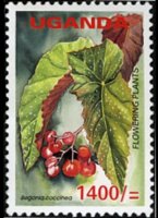 Uganda 2005 - serie Fiori: 1400 sh