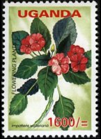 Uganda 2005 - serie Fiori: 1600 sh