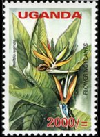 Uganda 2005 - serie Fiori: 2000 sh