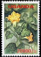 Uganda 2005 - serie Fiori: 20000 sh