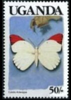 Uganda 1989 - serie Farfalle: 50 sh