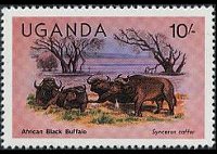 Uganda 1979 - serie Animali: 10 sh