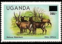 Uganda 1979 - serie Animali: 700 sh su 5 sh