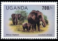 Uganda 1979 - serie Animali: 700 sh