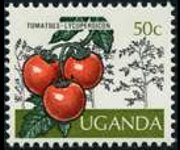 Uganda 1975 - serie Frutti della terra: 50 c