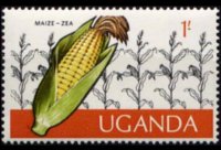 Uganda 1975 - serie Frutti della terra: 1 sh