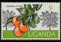 Uganda 1975 - serie Frutti della terra: 5 sh