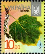 Ucraina 2012 - serie Alberi: 10 h