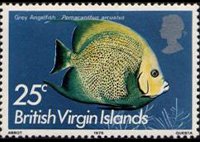 Isole Vergini britanniche 1975 - serie Pesci: 25 c