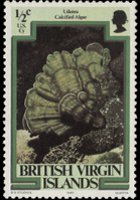 British Virgin Islands 1979 - set Marin life: ½ c