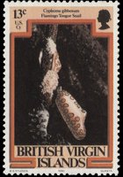 British Virgin Islands 1979 - set Marin life: 13 c