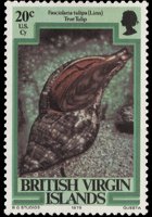 Isole Vergini britanniche 1979 - serie Vita marina: 20 c