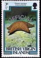 Isole Vergini britanniche 1985 - serie Vita marina: 3 c