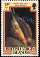 Isole Vergini britanniche 1985 - serie Vita marina: 25 c