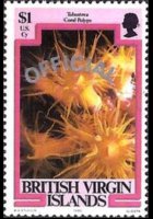 Isole Vergini britanniche 1985 - serie Vita marina: 1 $