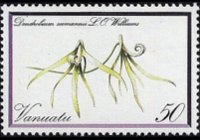 Vanuatu 1982 - serie Orchidee: 50 v