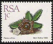 South Africa 1988 - set Succulents: 1 c
