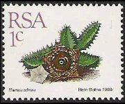 Sudafrica 1988 - serie Piante grasse: 1 c