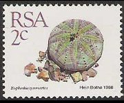 Sudafrica 1988 - serie Piante grasse: 2 c