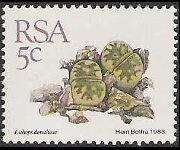 Sudafrica 1988 - serie Piante grasse: 5 c