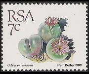 Sudafrica 1988 - serie Piante grasse: 7 c