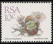 Sudafrica 1988 - serie Piante grasse: 10 c