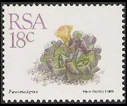 South Africa 1988 - set Succulents: 18 c