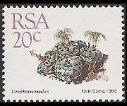 South Africa 1988 - set Succulents: 20 c
