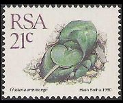 Sudafrica 1988 - serie Piante grasse: 21 c