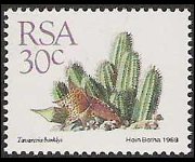 Sudafrica 1988 - serie Piante grasse: 30 c