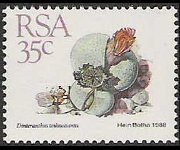 Sudafrica 1988 - serie Piante grasse: 35 c
