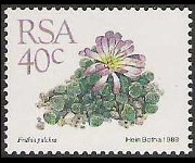 Sudafrica 1988 - serie Piante grasse: 40 c